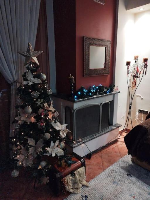 όμορφο, άνετο ζεστά διακοσμημένο * Thermi